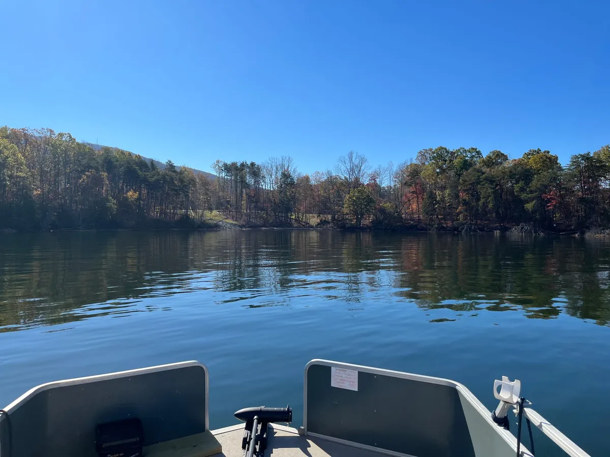 View from a boat on a calm lake, with a tree-lined shore and a clear blue sky above.