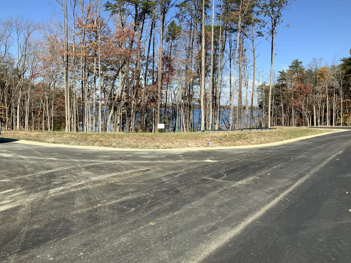 Curved paved road or driveway with a dense stand of bare trees and a blue sky, a lake peeking through the trunks in the background.